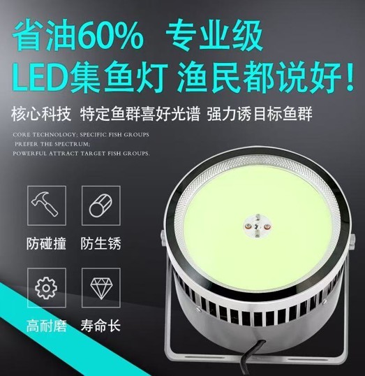 揭阳集鱼灯